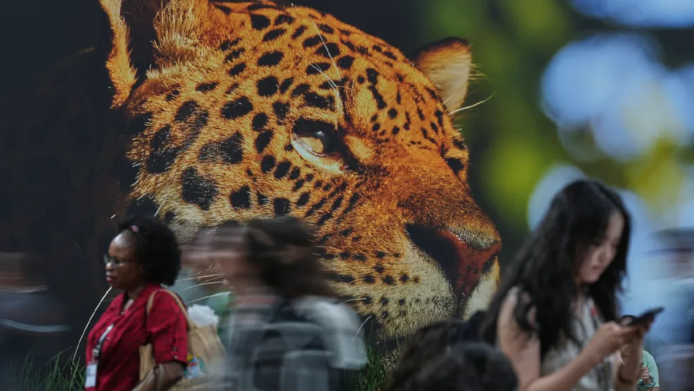 Santé et COP30 souligne le changement climatique comme crise sanitaire