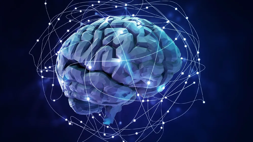 Human Brains Process Language Similar to AI Models