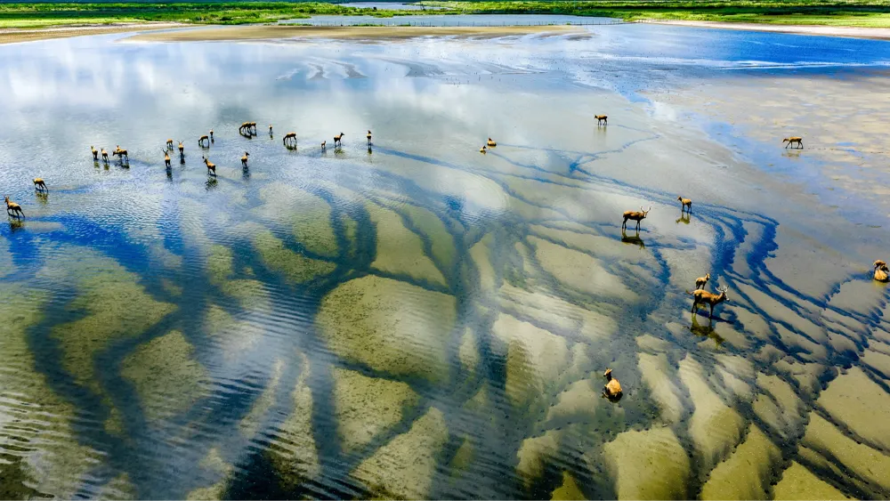 China Releases Guidelines for Global Sustainable Development Cooperation