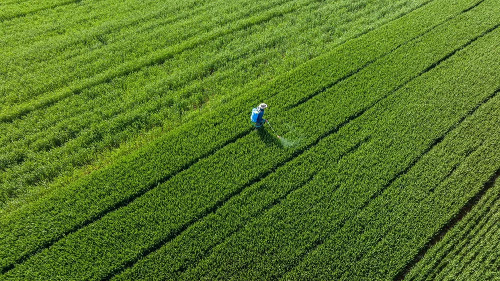 China impulsa la modernización agrícola y rural con nuevos planes