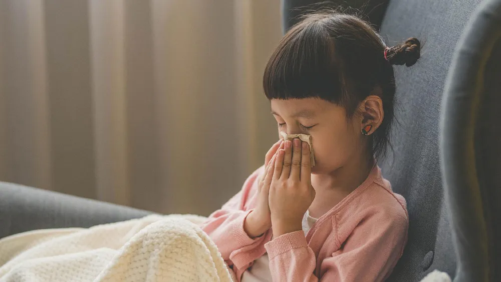 Scientists discover immune cells driving chronic sinus infections