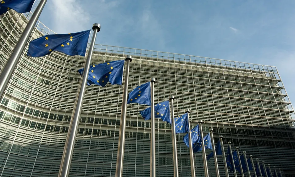 EU US Trade Deal Faces Criticism Over Disruptive Impact