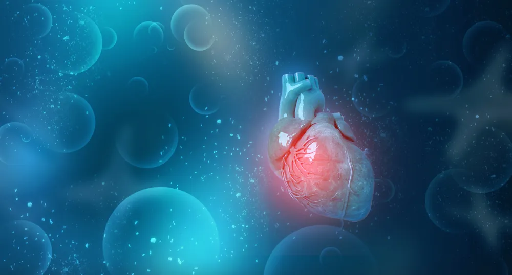 Cómo reiniciar la vida tras la colocación de un stent cardíaco