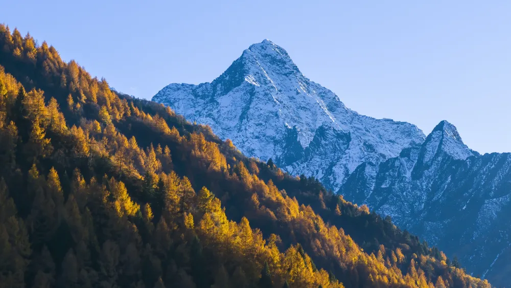 Estudio revela cómo los pastizales de Qinghai-Xizang capturan carbono