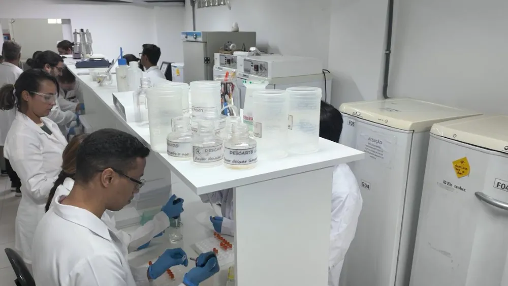 Scientifiques brésiliens œuvrent pour sauver le récif corallien