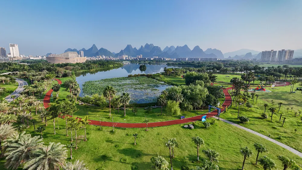 China stellt 2025 umfassende Aufforstung von 8 Millionen Hektar vor