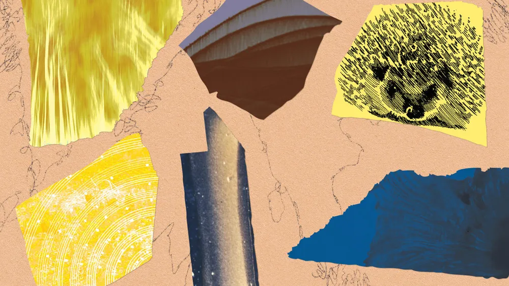 The Unreconciled Spirit of the Irascible Hedgehog