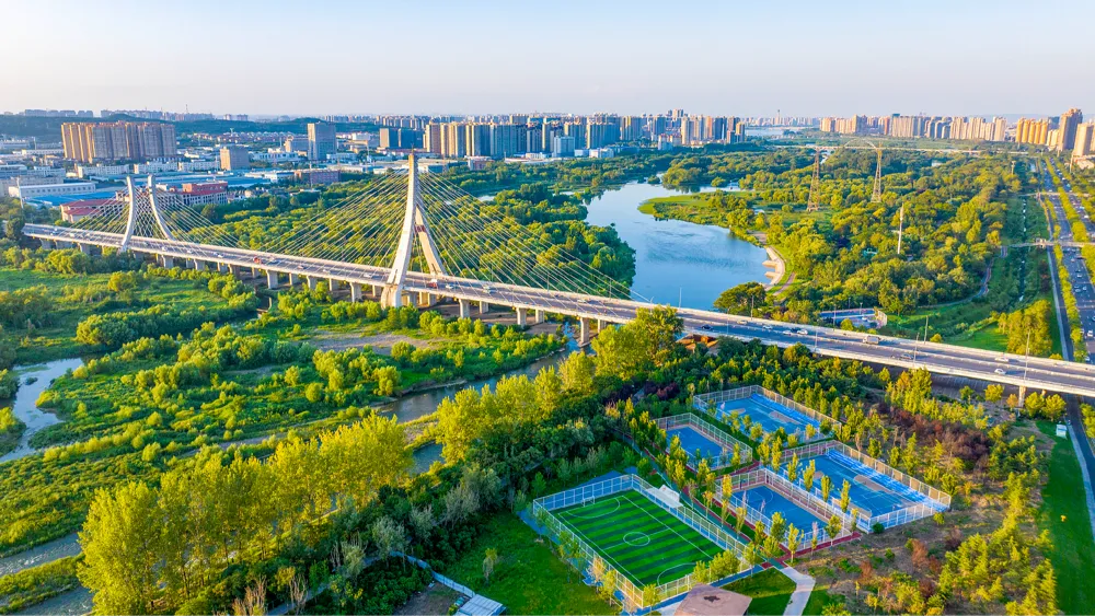 WWF Leader Says China's Green Development Delivers Key Message