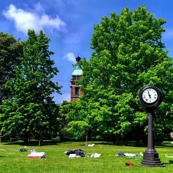 Horaire d été 2025 à l École d éducation internationale
