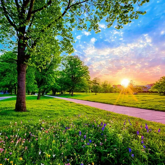 Sommerdienstplan 2025 an der School of International Education