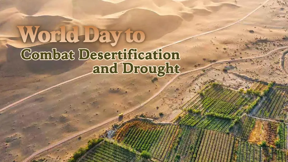 Restauración de tierras genera nuevas oportunidades ecológicas