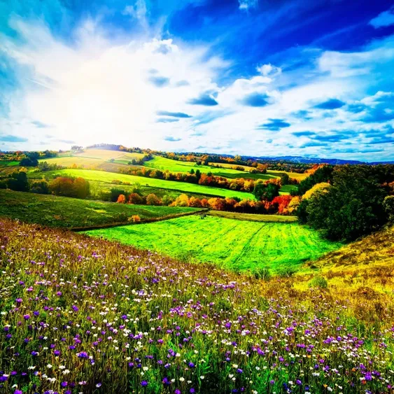 Smart Monitoring Tackles Overgrazing Precisely