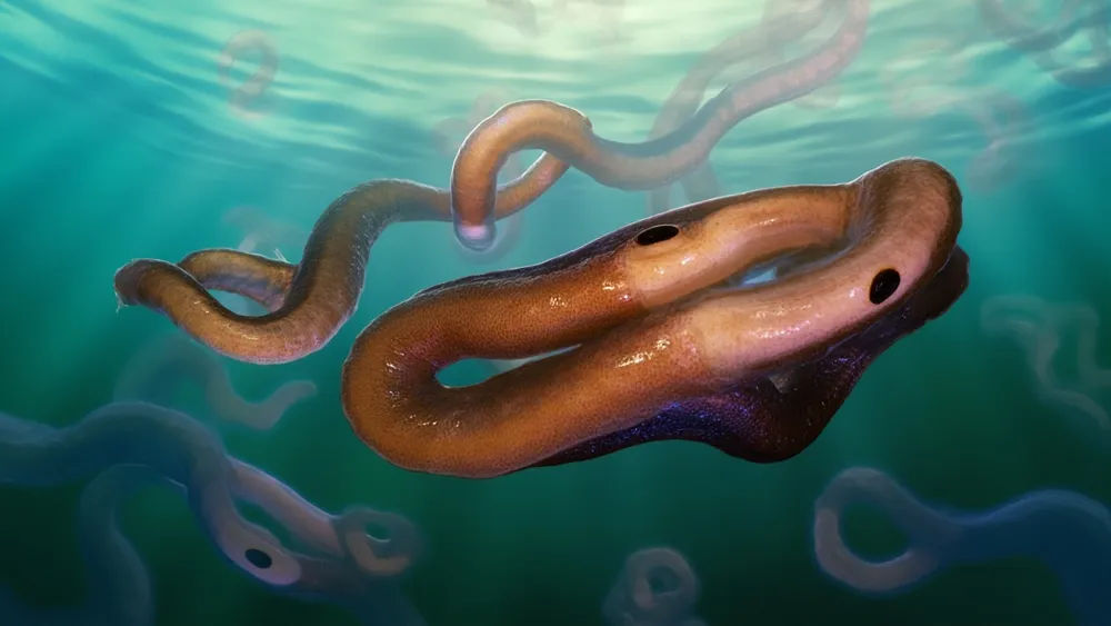 Planarians: Game Changers in Regenerative Medicine