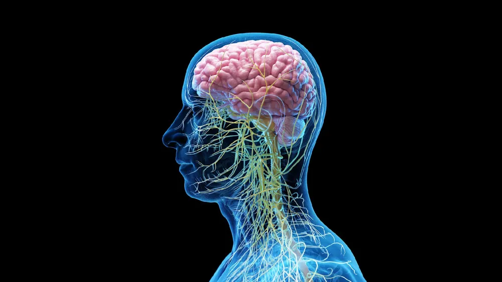 Neck Surgery Offers New Hope for Alzheimer's Patients