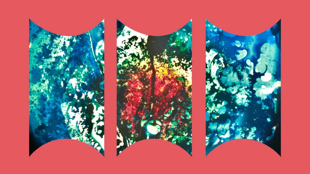 Отчет о музыкальных лейблах, март 2026