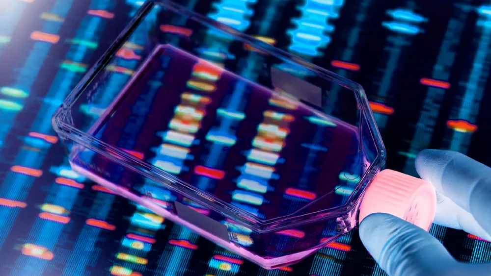 Gene Editing Tech Restores Normal Behaviors in Mice with Autism