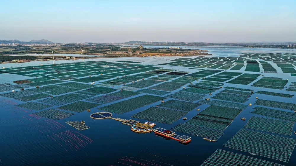 Cooperación verde entre Noruega y China clave para clima y economía