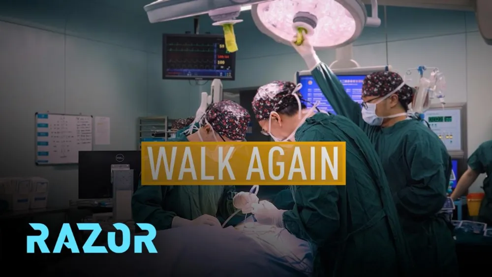 Neue Hoffnung für die Genesung von Lähmungen auf dem Weg