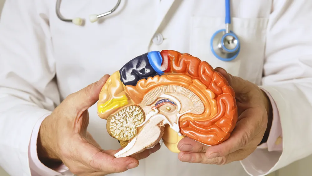 Día Mundial del Parkinson una guía rápida para entender la enfermedad