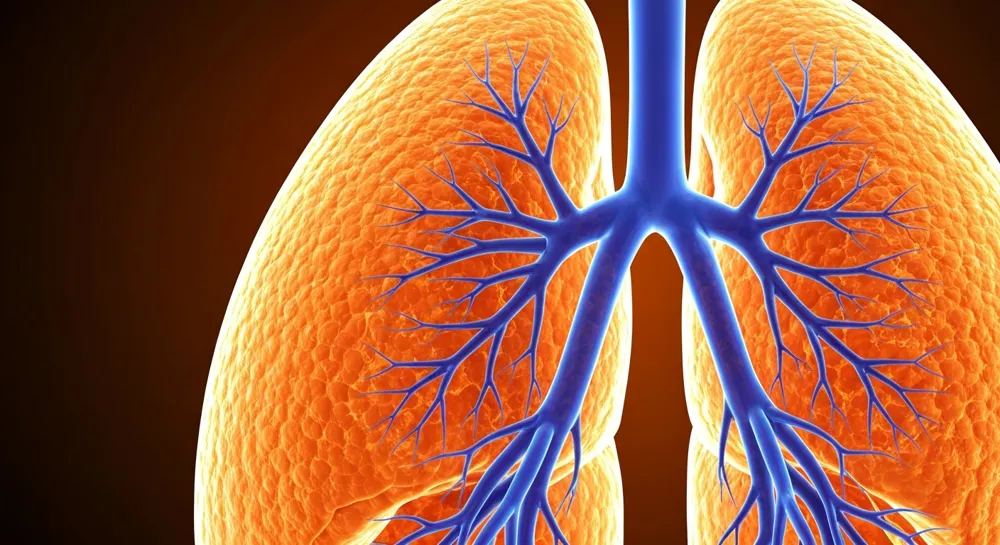 Сломанный замок с разбросанными вокруг банкнотами.