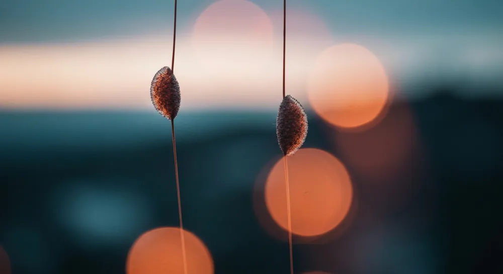 Eine Abwärtsspirale mit einem roten Pfeil, der den Verlust symbolisiert.