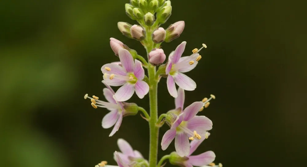 Силуэт дрона над удручающим финансовым горизонтом.