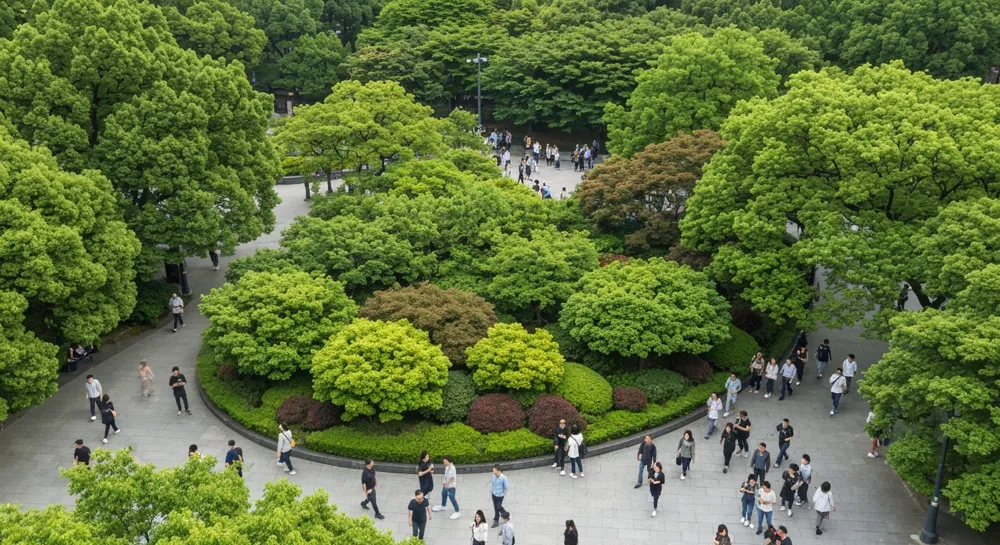 Un campus universitaire paisible avec des bancs vides, entouré d'arbres, sous un ciel clair.