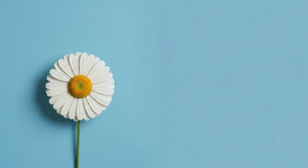 Ein symbolischer Olivenzweig vor dem Hintergrund von Tauben.