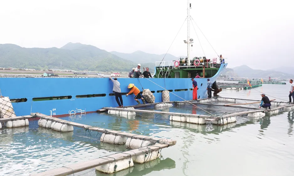 Xiangshan Improves Port Operations for Live Fish Exports