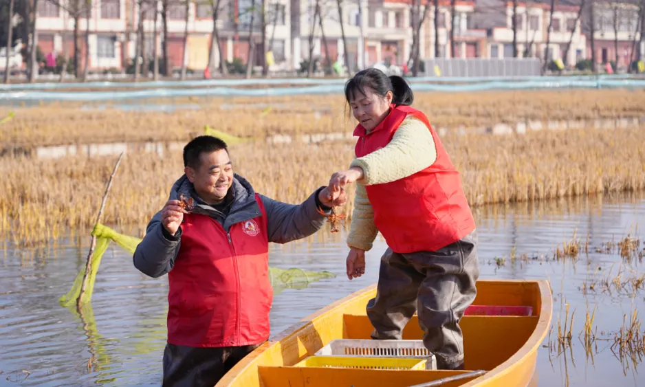 Qianjiang Harvests Crayfish Year-Round for New Year Celebrations