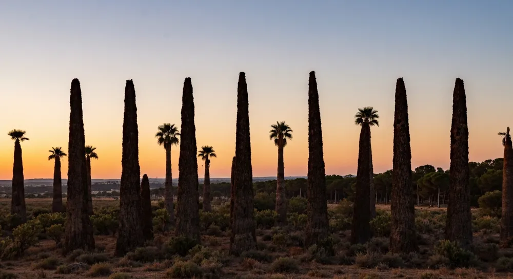 Abstrakte Darstellung von Lithiumcarbonat und Ethylenglykol.