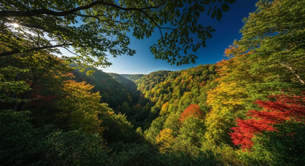 Formas abstractas que representan el cambio y el crecimiento.