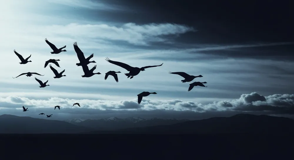 Formes abstraites représentant la stratégie et la dynamique des risques.