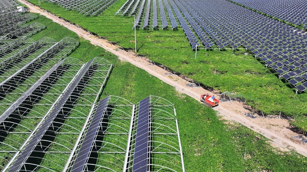 China Aims to Accelerate Green Transition in All Sectors