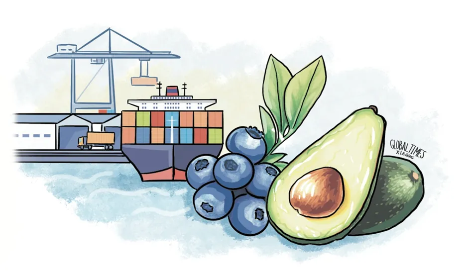 Hafen Chancay sichert Exporte Lateinamerikas auf neuer China-Peru Route