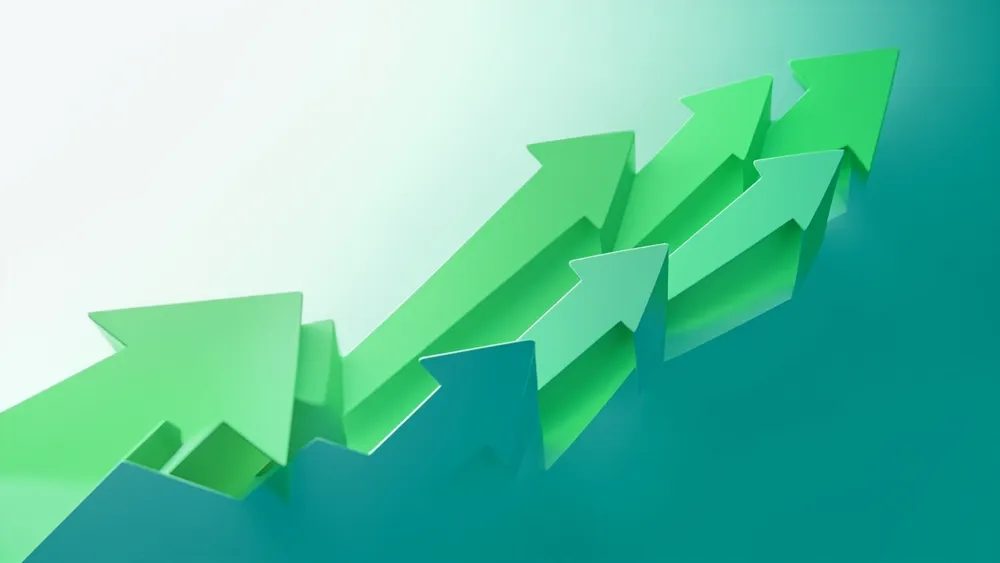 Li Qun Share Co., Ltd.: Financial Performance and Strategic Outlook for 2025