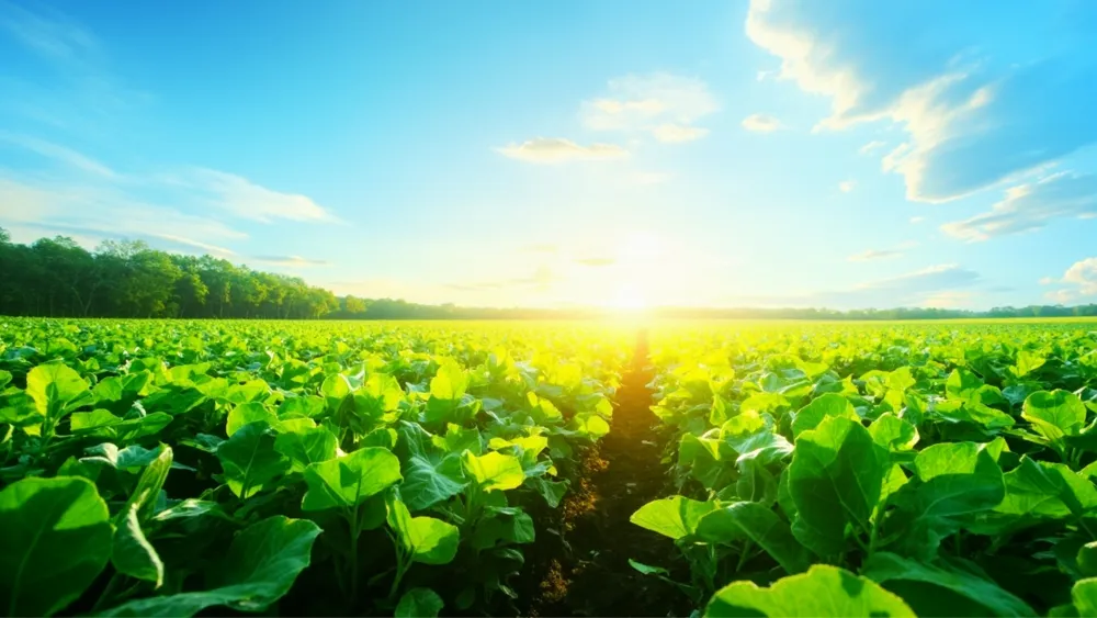 Côte d'Ivoire Official Calls China's Agricultural Model a Blueprint for Sustainable Growth