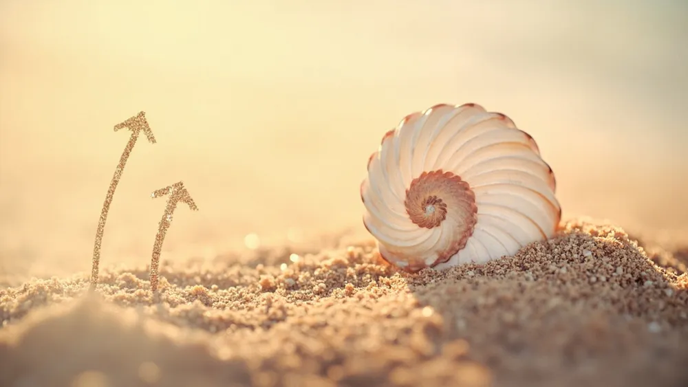 Seashell reporta resultados financieros y proyecciones para 2024