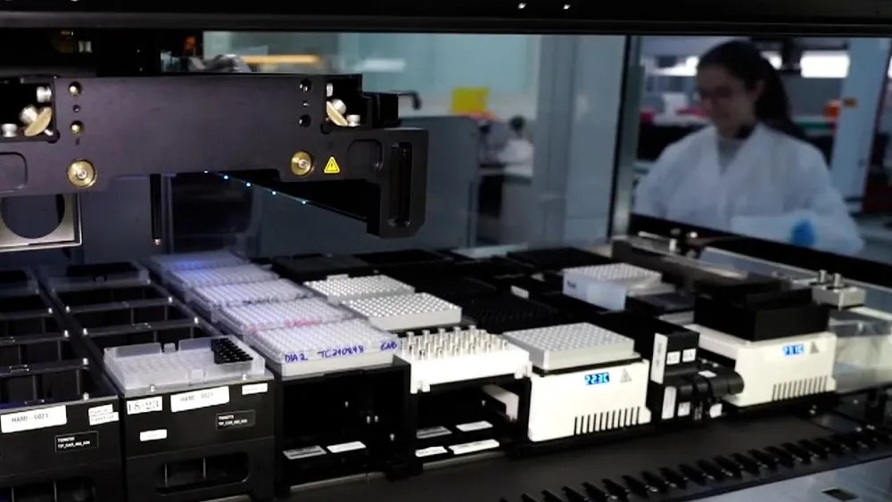 Estudio revela la diversidad genética en Brasil y su importancia