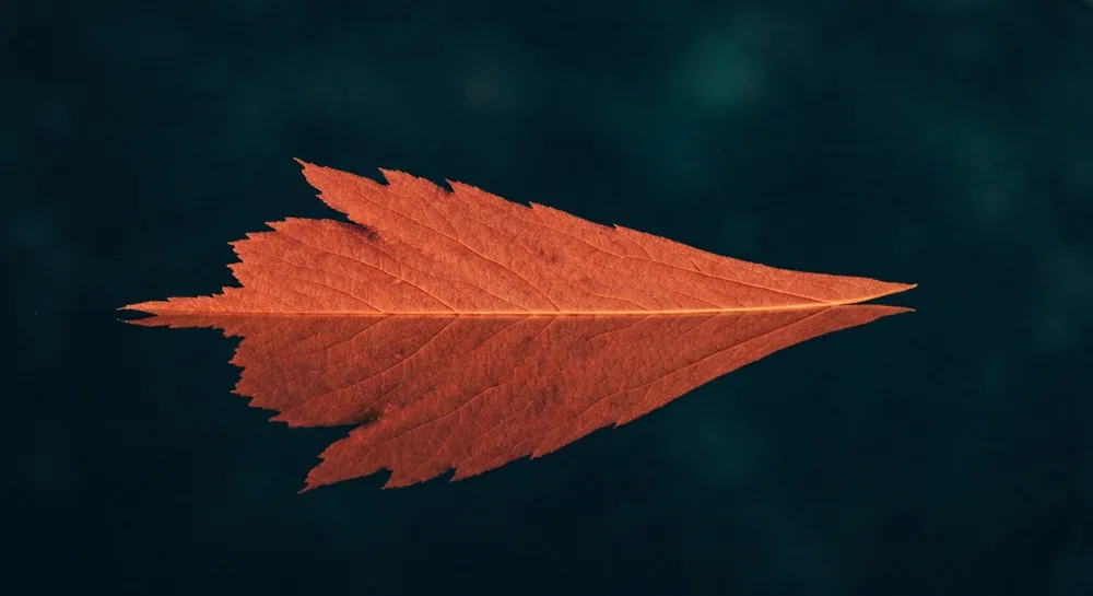 Красочная вихревая туманность с далекими планетами.