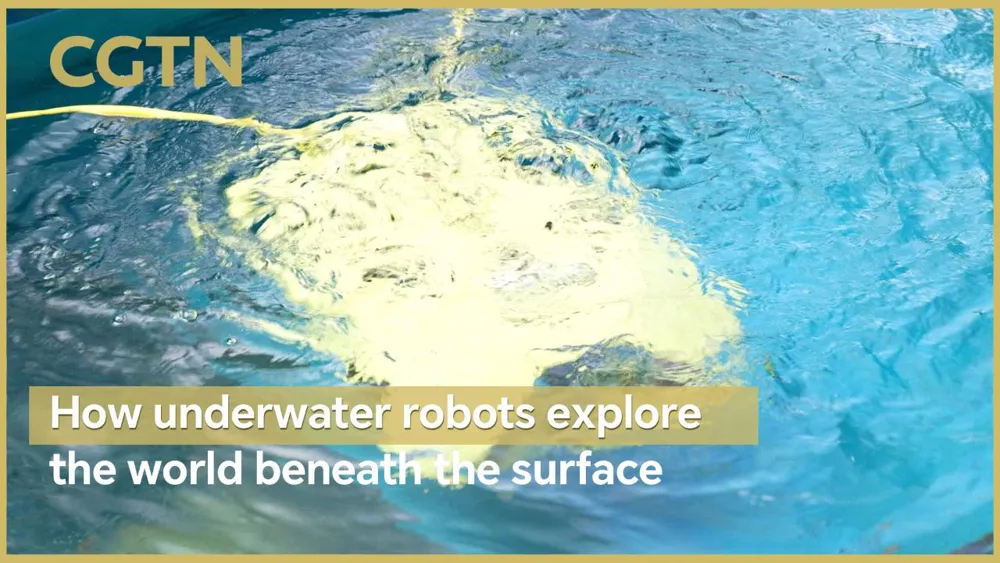 Robots submarinos exploran el fascinante mundo bajo el agua