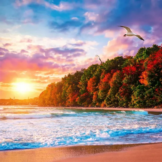 Summer Vacation and Fall Semester Registration Notice for 2025