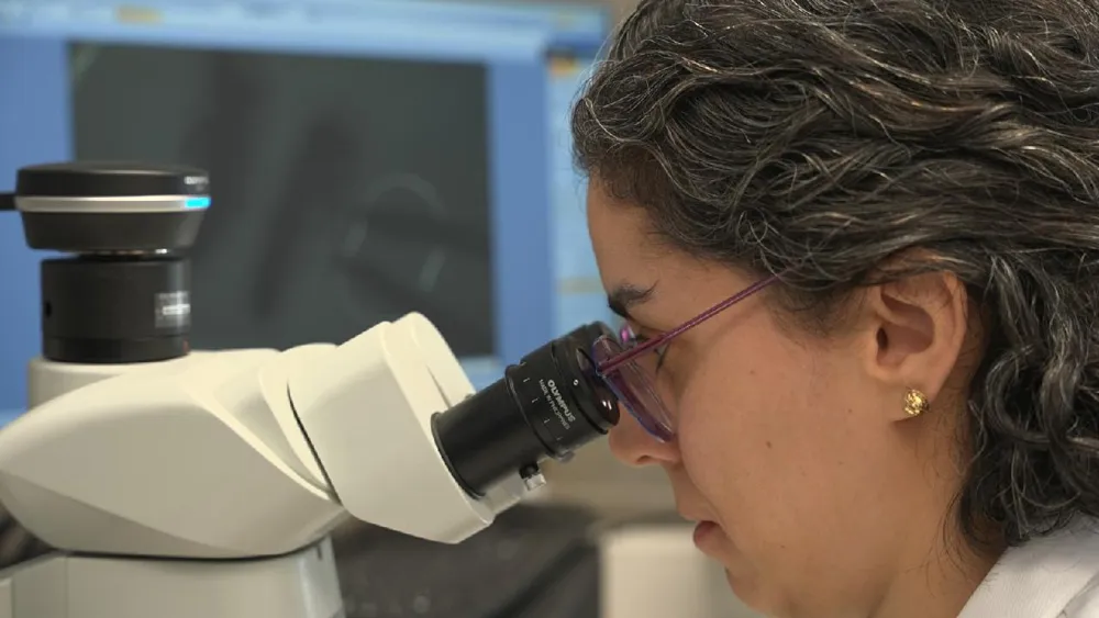 Europa y China se benefician de la fuga de cerebros científicos de EE UU