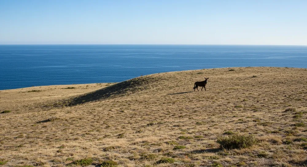 Un panorama dividido de activos congelados y puntos de vista contrastantes.