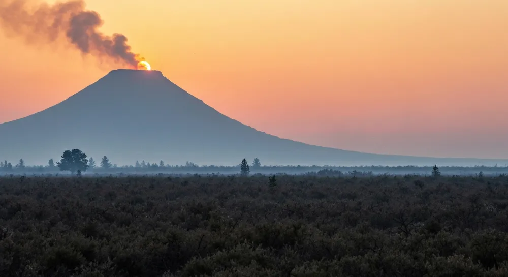 Gráfico dinámico ascendente con colores verde y dorado.