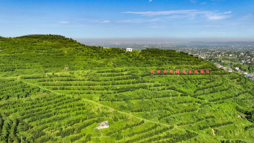 Chinese Premier Calls for Efforts in Ecological Civilization Development