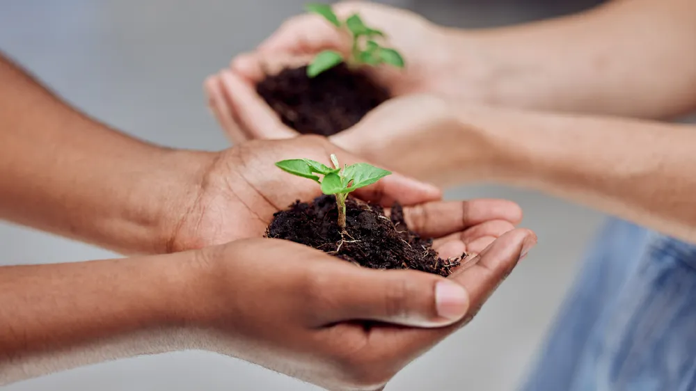 China Africa Green Partnership Fuels Sustainable Future