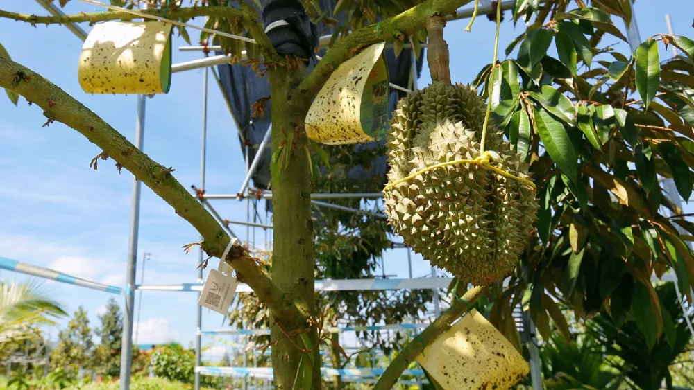 China introduces carbon footprint labels for farm produce