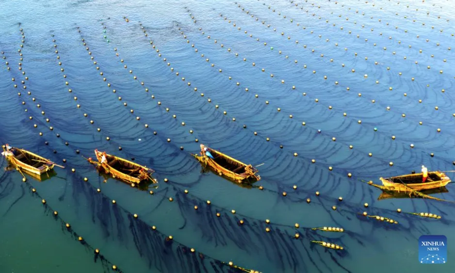 Chinas marine Wirtschaft erzielt 5,6 Prozent Wachstum in 2023