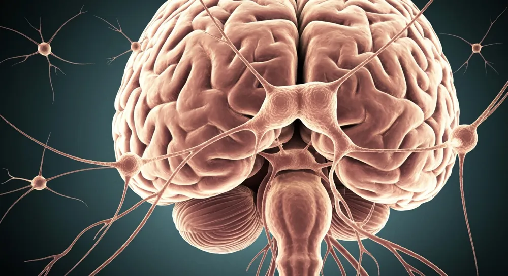 Intrincados patrones de circuitos que se fusionan con formas orgánicas.